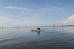 20180707_083411